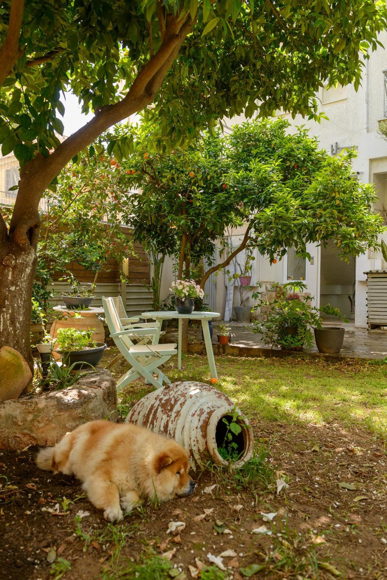 Agali 2 Maizonette Front Of The Sea Apartment Akrogiali Exterior photo